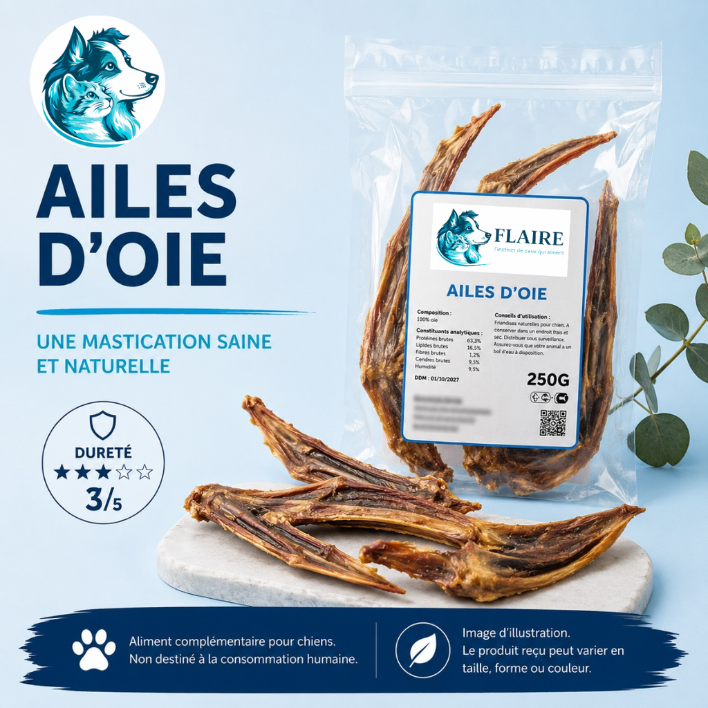 Ailes d’oie naturelles