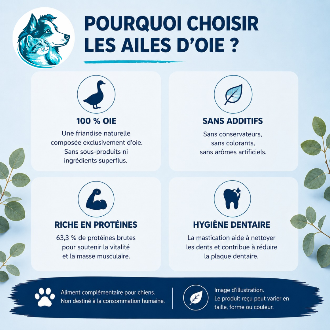 Ailes d’oie naturelles