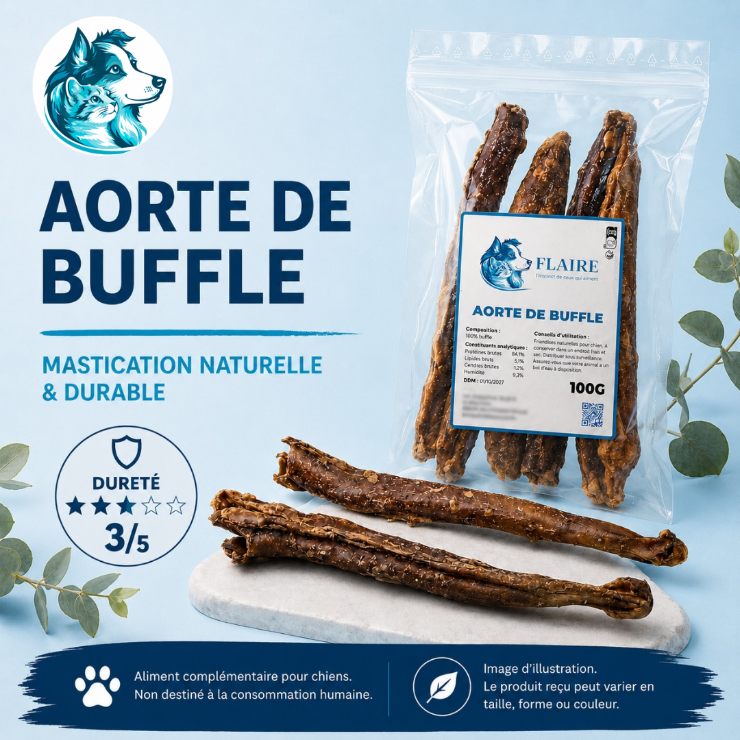 Aorte de buffle naturelle