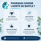 Aorte de buffle naturelle