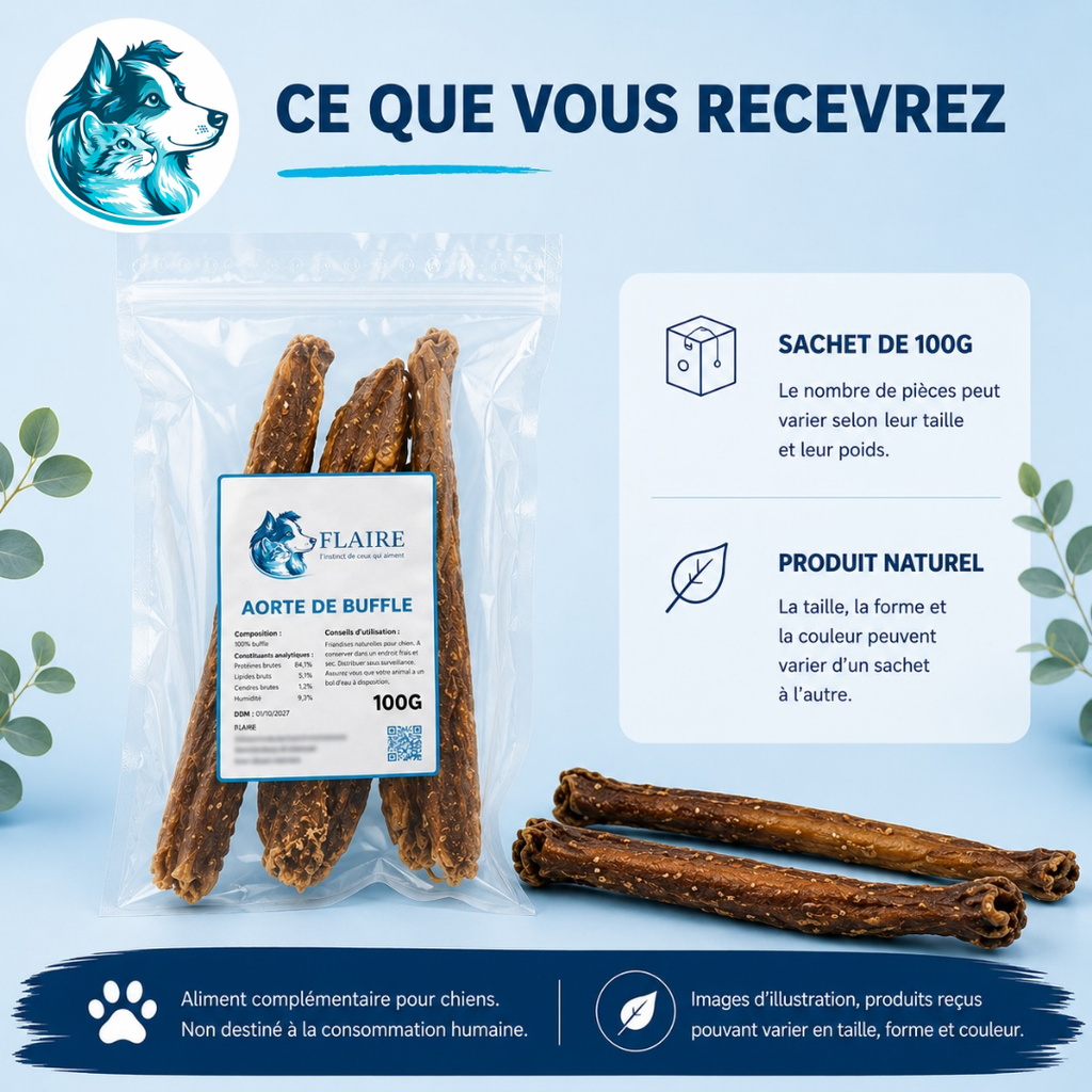 Aorte de buffle naturelle