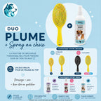Duo PLUME + Spray au choix