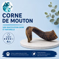 Corne de mouton naturelle - S