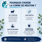 Corne de mouton naturelle - S