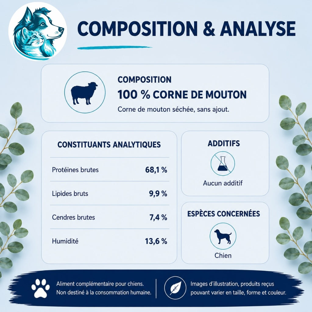 Corne de mouton naturelle - S