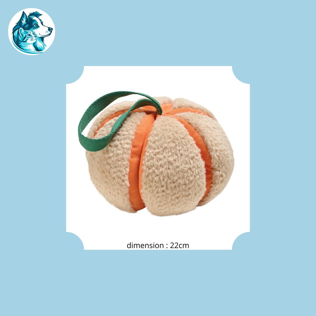 COURGI – Courge de Fouille 22cm