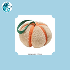 COURGI – Courge de Fouille 22cm