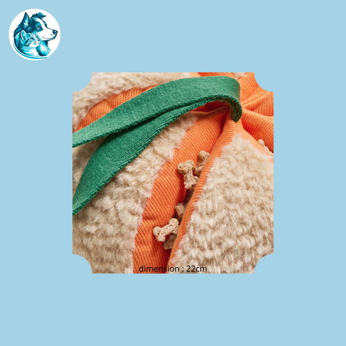 COURGI – Courge de Fouille 22cm