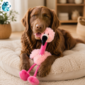 FLAMI – Le flamant rose qui fait craquer les chiens joueurs