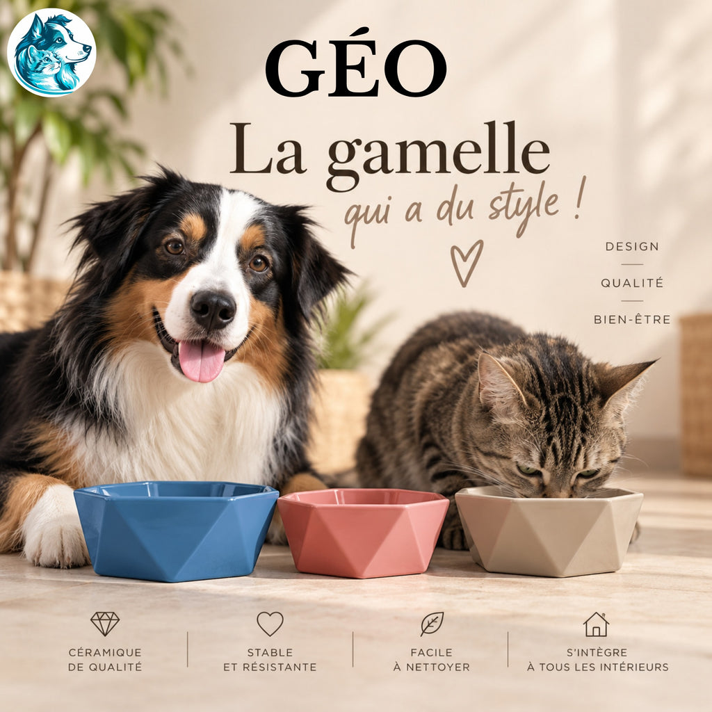 Duo GÉO – Grande + Petite gamelle