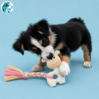 GIGI – Girafe de Dentition pour Chiot