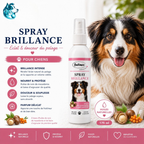 Duo PLUME + Spray au choix