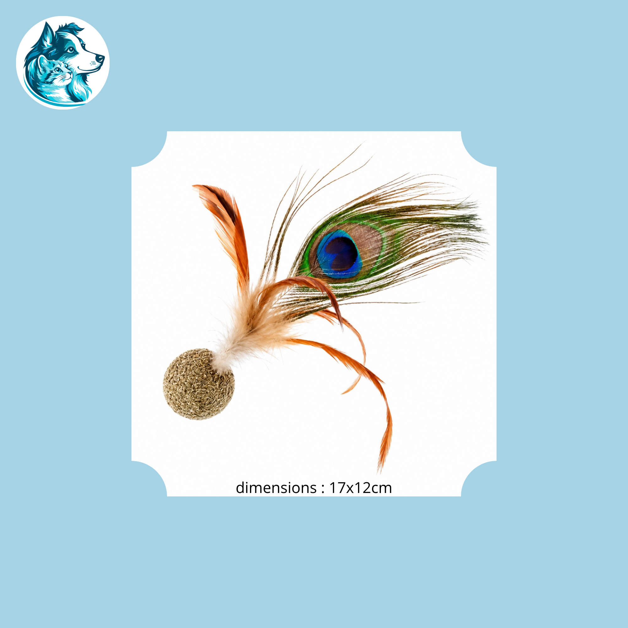 PAONI – Balle Cataire & Plume de Paon