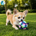 Ballon PLAYFOOT – Le jeu qui fait bouger les champions
