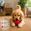 RUBBI – Balle Ultra Strong en Caoutchouc