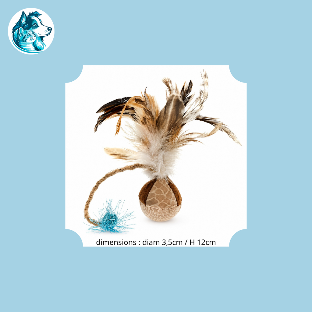 TWEETI – Balle Gazouillis & Plumes