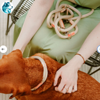 NORI Beige – Laisse Réglable Corde & Cuir Premium