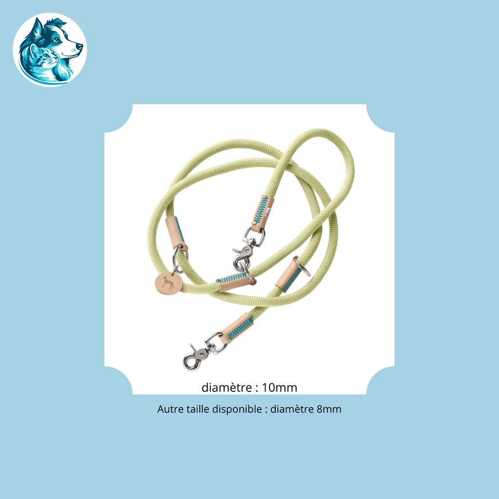 NORI Menthe – Laisse Réglable Corde & Cuir Premium