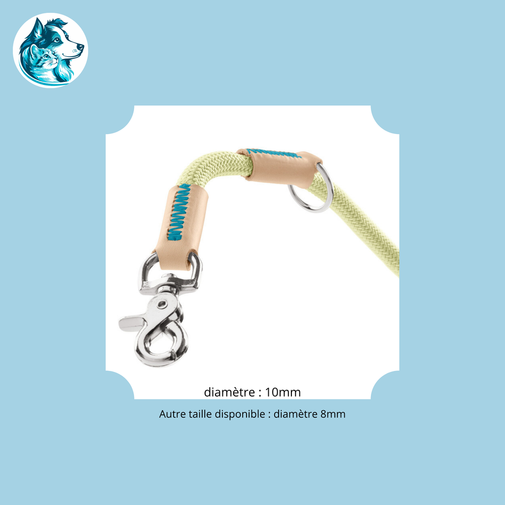 NORI Menthe – Laisse Réglable Corde & Cuir Premium