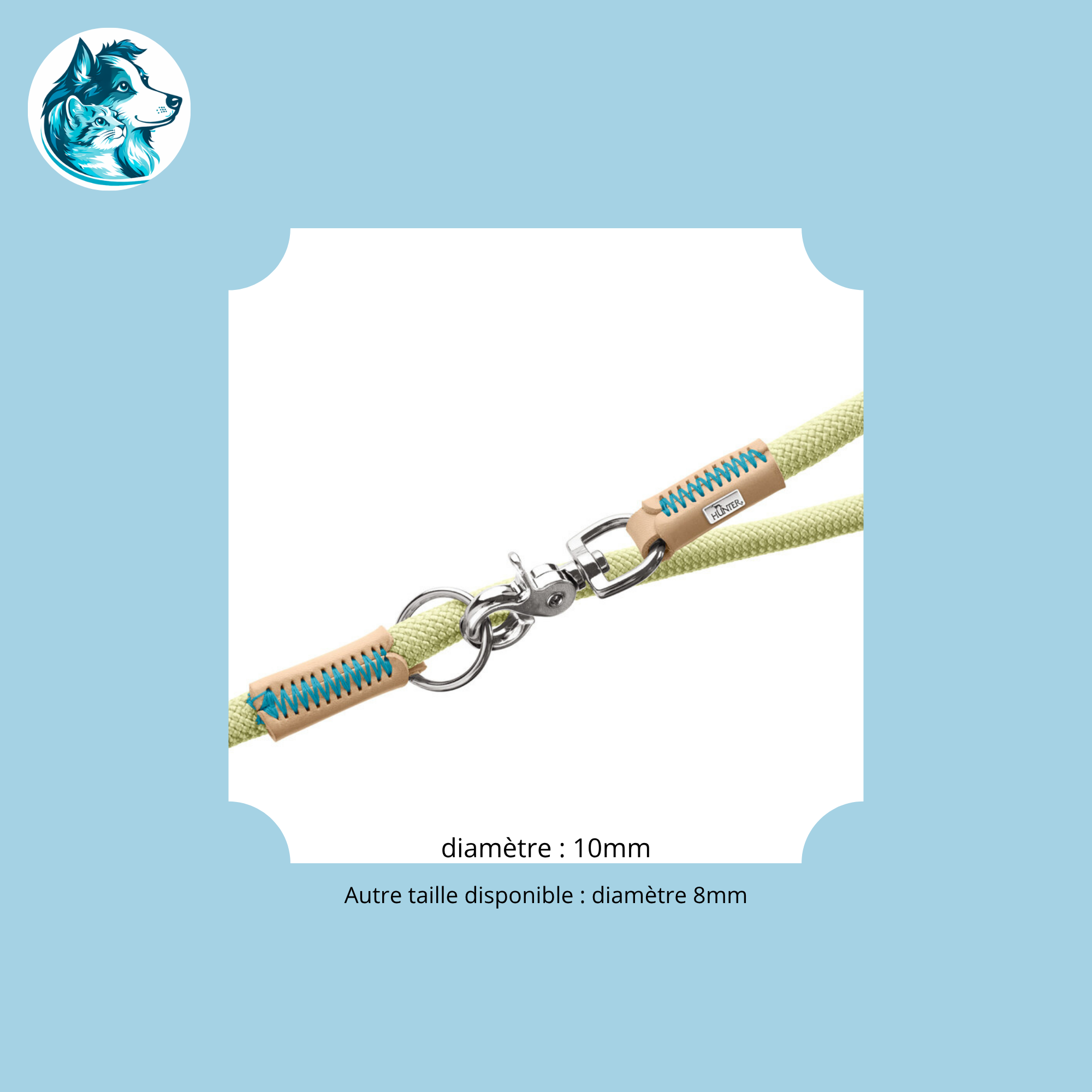 NORI Menthe – Laisse Réglable Corde & Cuir Premium