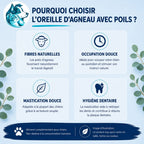 Oreille d'agneau (avec poils)