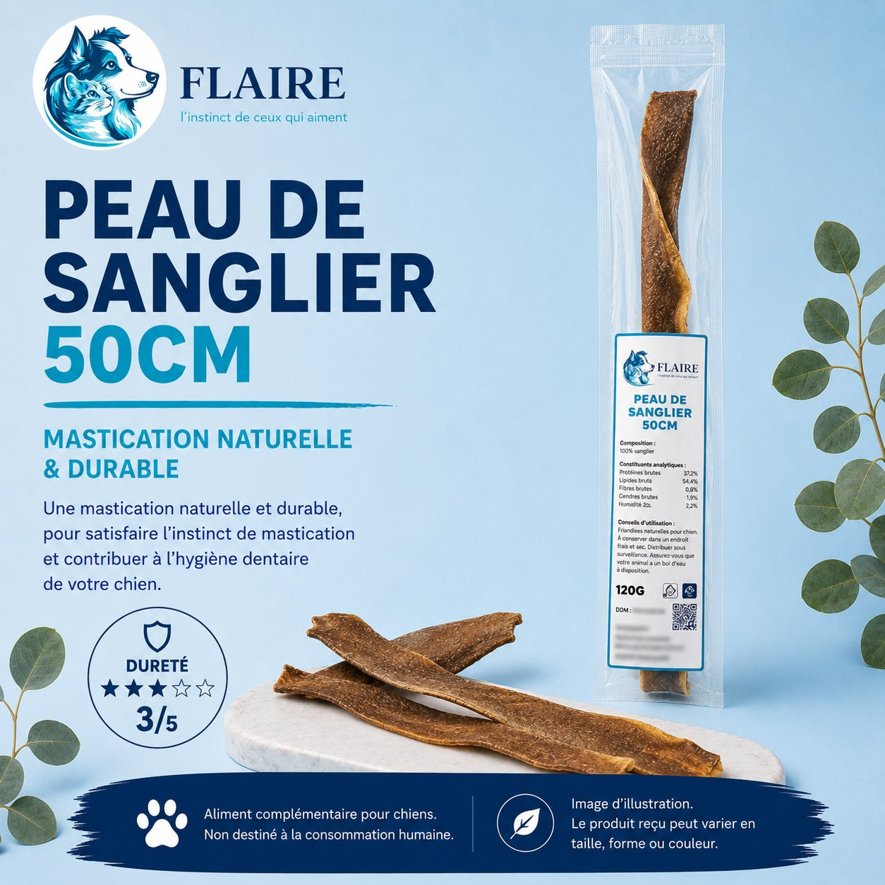 Peau de Sanglier naturelle - 50cm