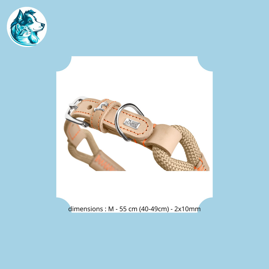 boucle de laisse beige 