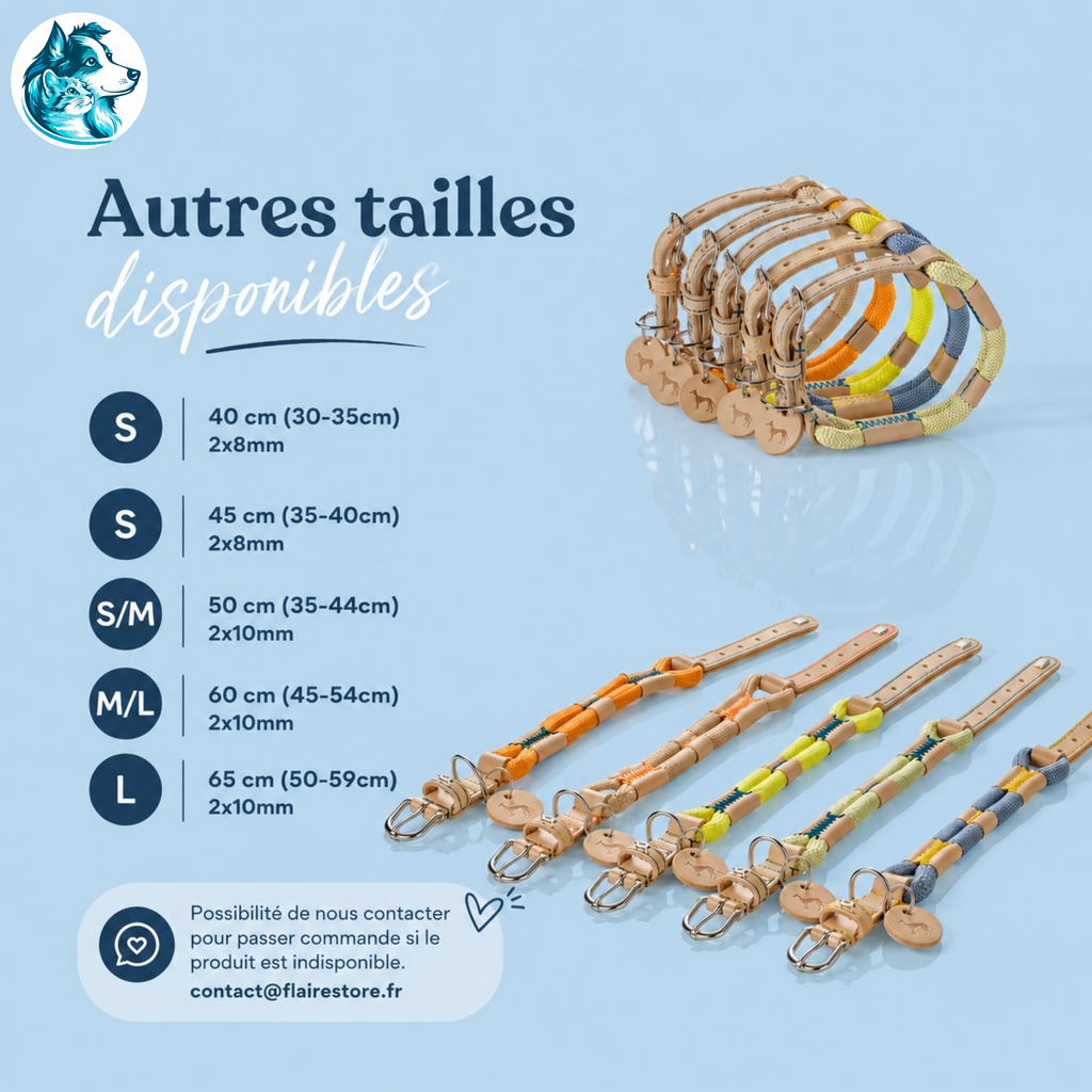 couleurs de laisses