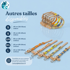 couleurs de laisses