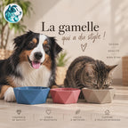Duo GÉO – Grande + Petite gamelle